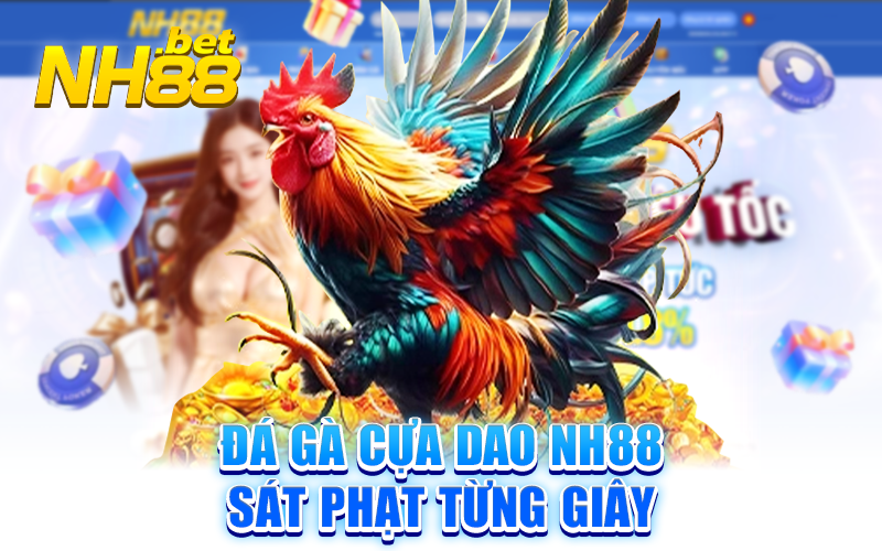 Cược đá gà cựa dao nh88 mang đến cơ hội thắng lớn cho những ai yêu thích chiến thuật cựa dao sắc bén.