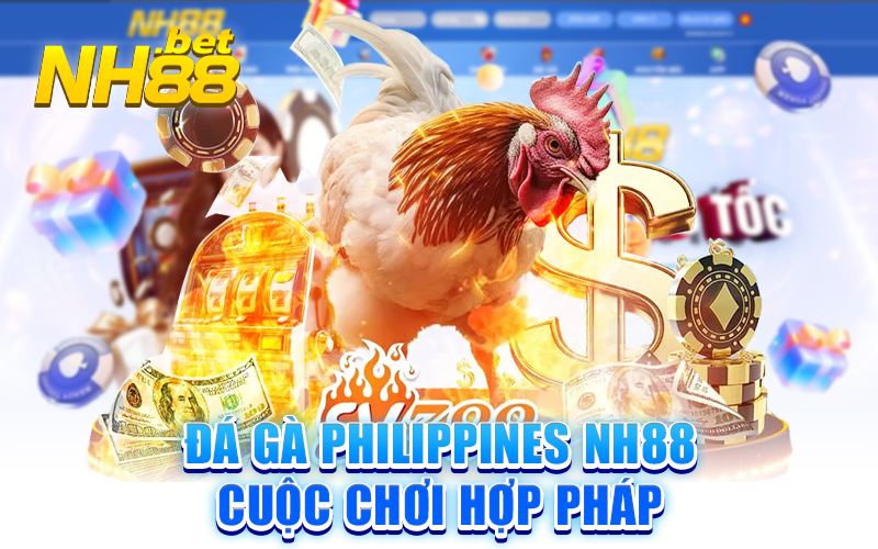 Tham gia Đá gà Philippines nh88 để trải nghiệm trận đấu đỉnh cao của môn thể thao truyền thống này.